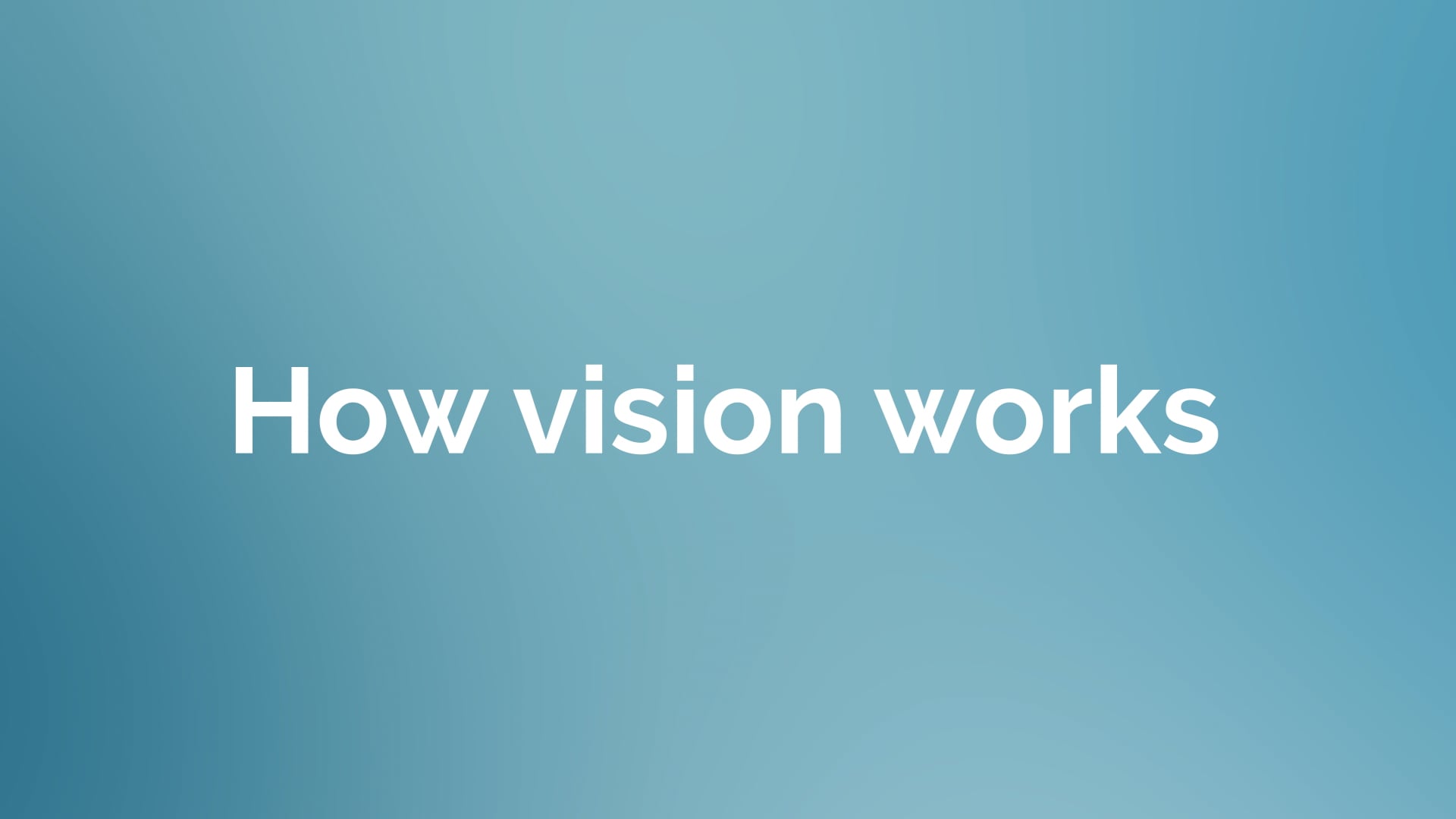 How vision works video poster