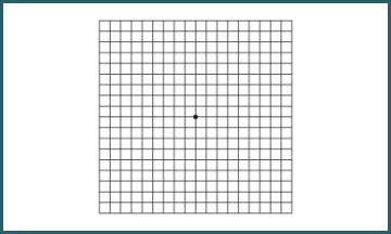 Amsler Grid image